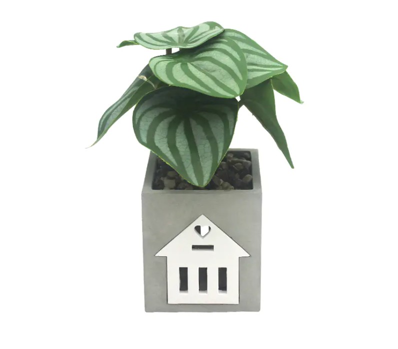 Är LED -cementlampan kompatibel med smarta hemsystem, för röstkontroll och automatisering?